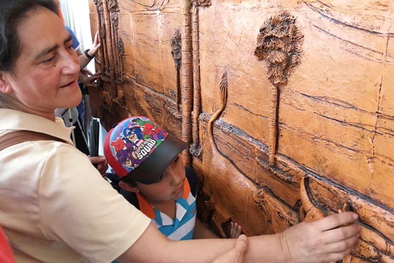 Personas con discapacidad visual leyendo el decreto 1350 en braille