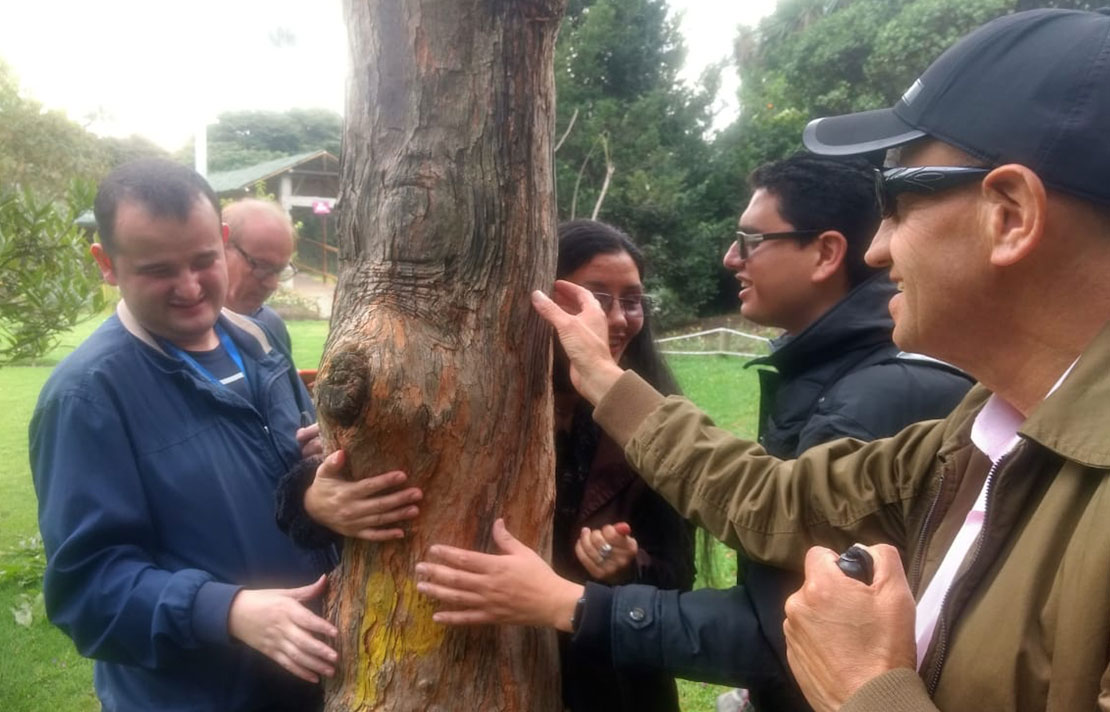 Personas con dispapacidad visual tocando la corteza de un arbol