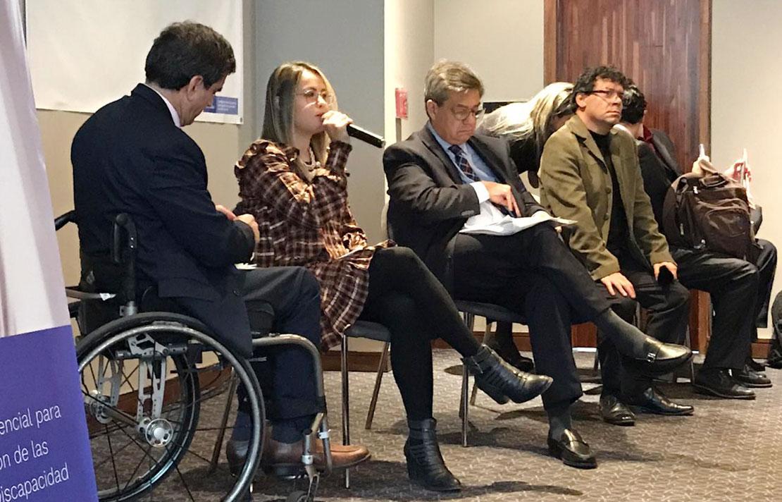 Panel de expertos, presidencia, función pública e INCI