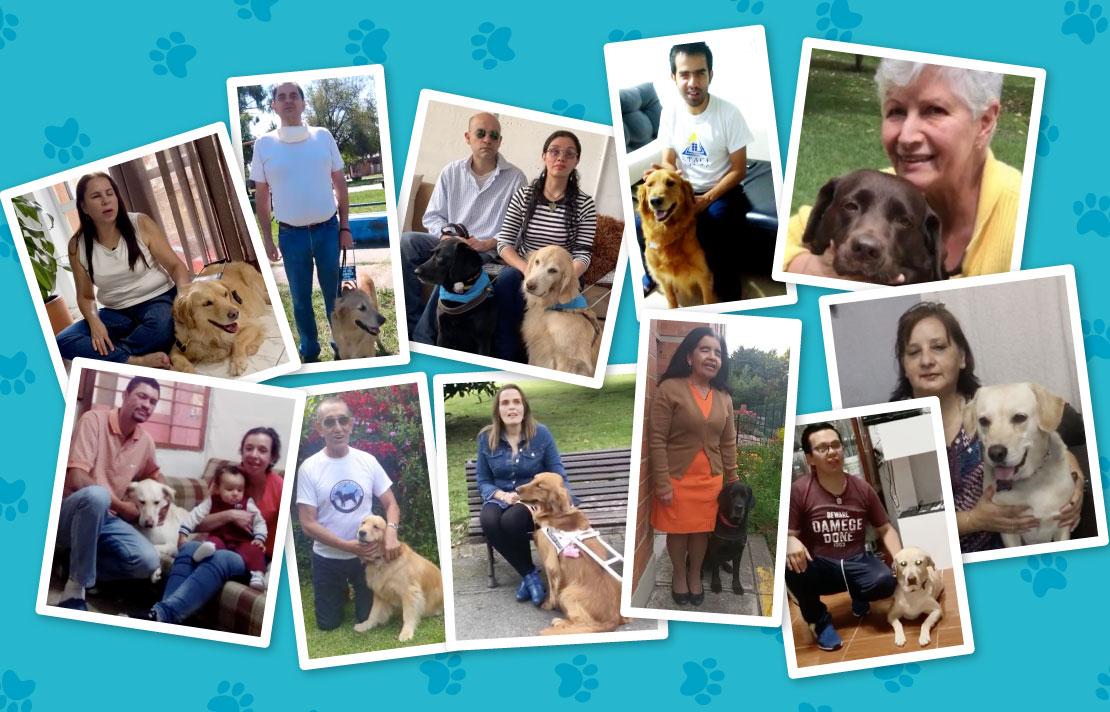 Fotografía, Personas con discapacidad visual acompañadas de su perro guia