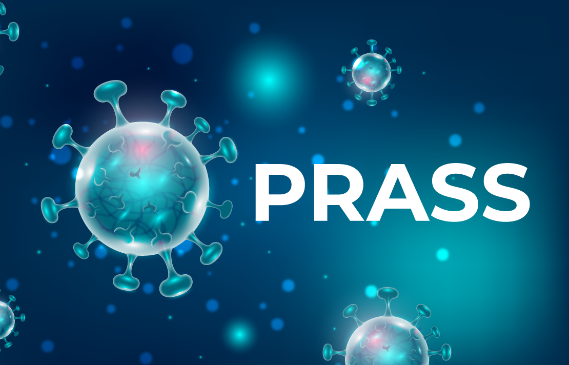 Logo, Programa Prass