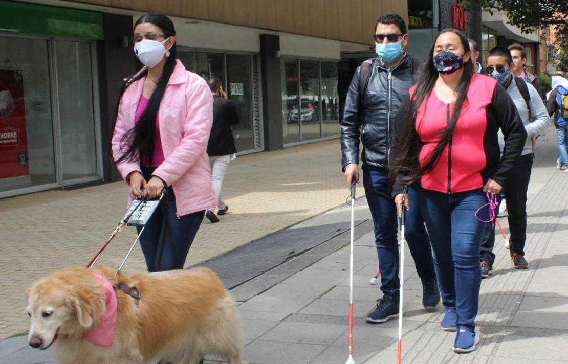 Grupo de personas con discapasidad visual caminando por la ciudad, algunos utilizan bastón y una mujer va acompañada de su perro guia