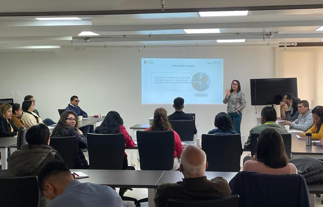 Grupo de Accesibilidad del INCI brindando asistencia técnica