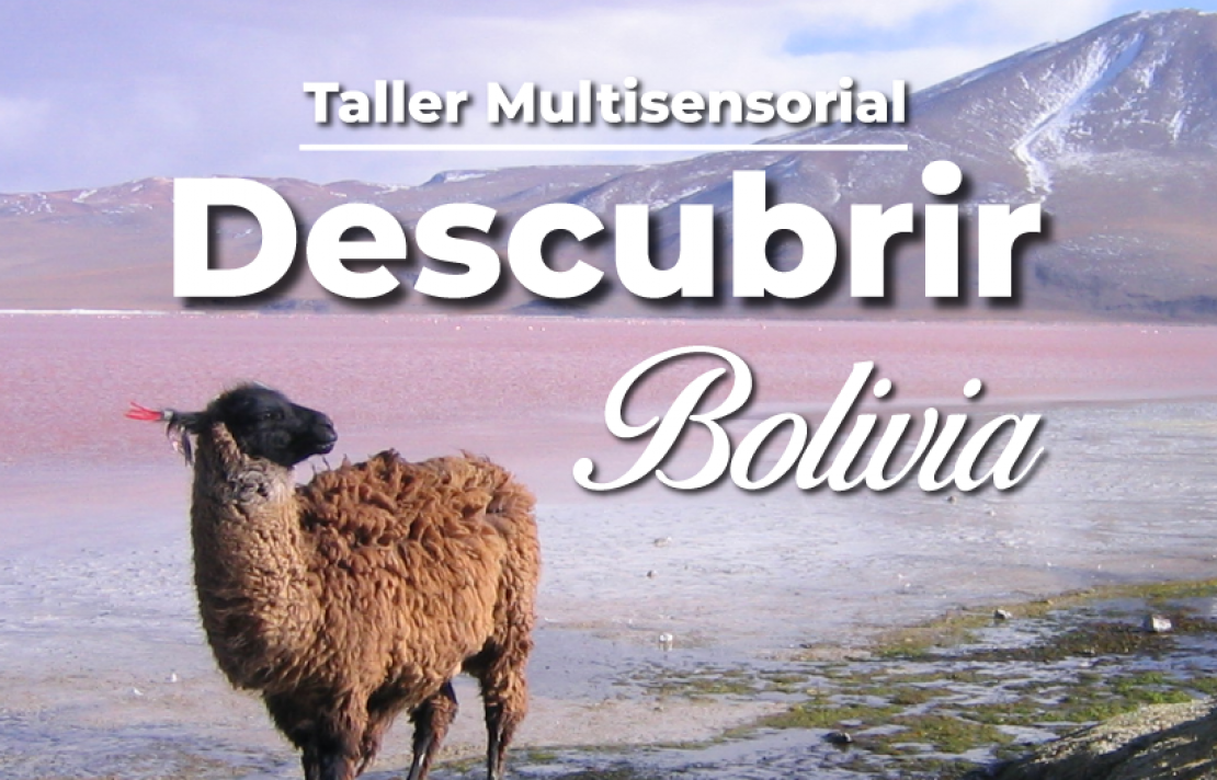 Imagen, Taller Bolivia