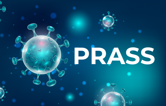 Logo, Programa Prass