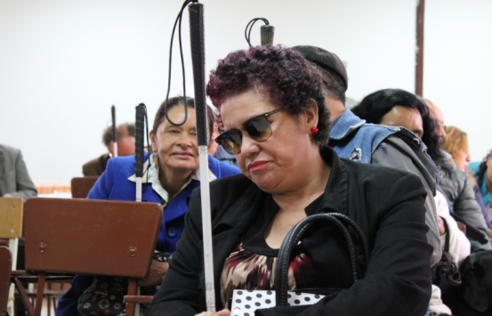 Personas con discapacidad visual atentos en una presentación
